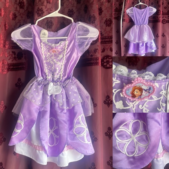 Lot of Disney Princess Dresses Costumes Sizes 4-6 Select 2/3/4 - Picture 12 of 13